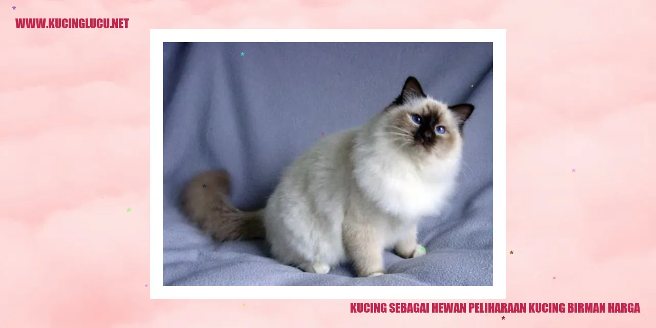 Kucing sebagai Hewan Peliharaan