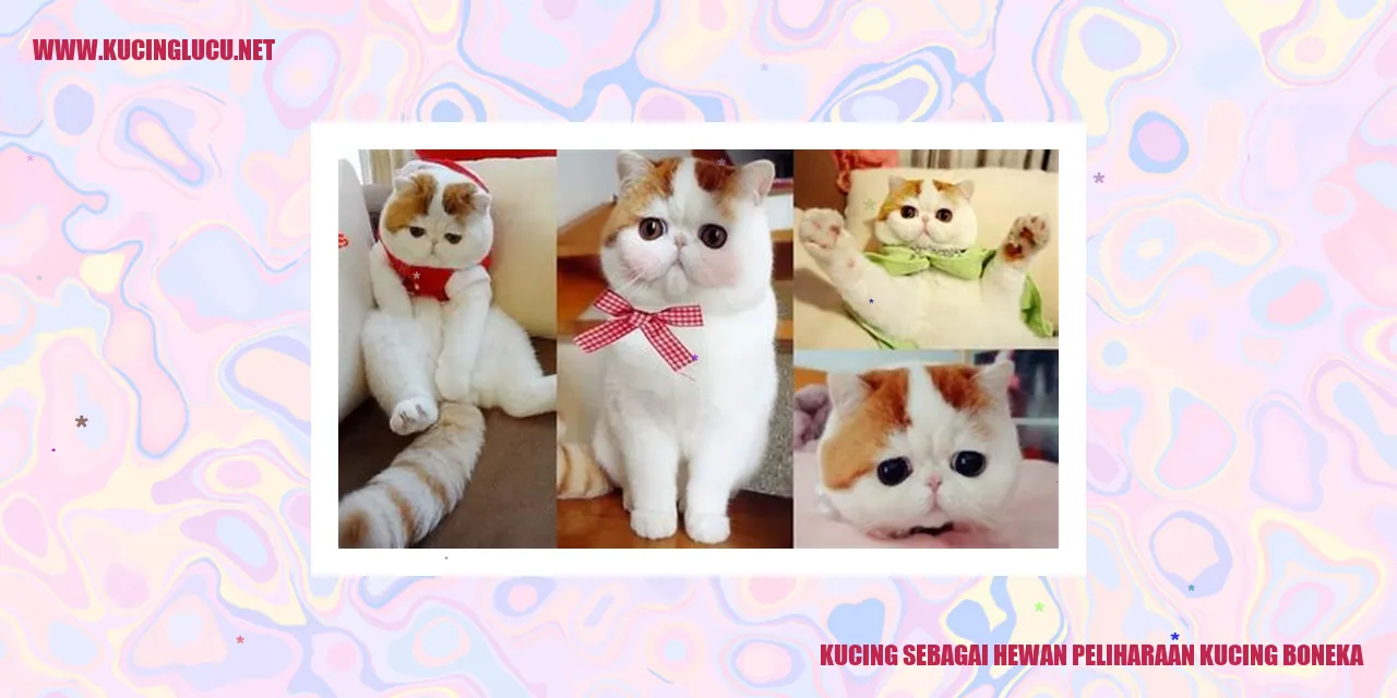 Kucing sebagai Hewan Peliharaan kucing boneka