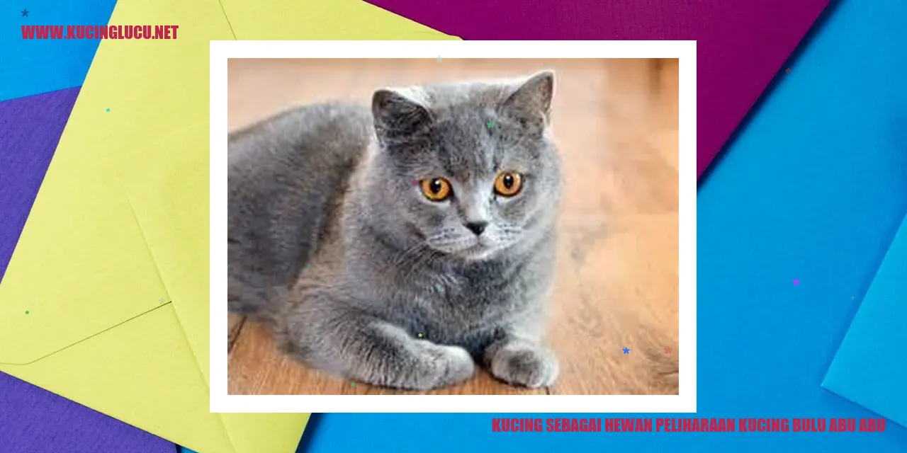 Kucing bulu abu-abu yang menawan