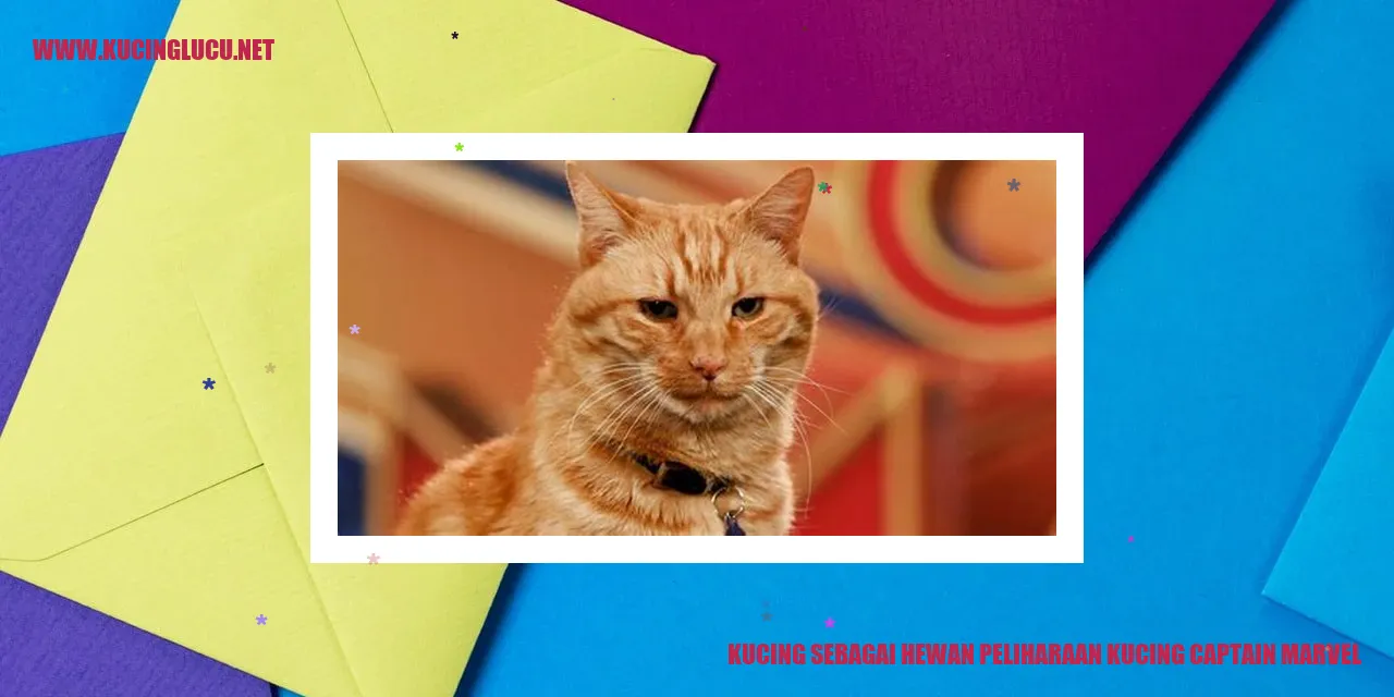 Gambar Kucing Captain Marvel