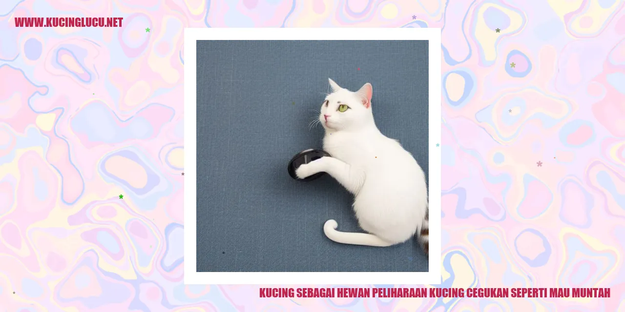 Kucing sedang cegukan