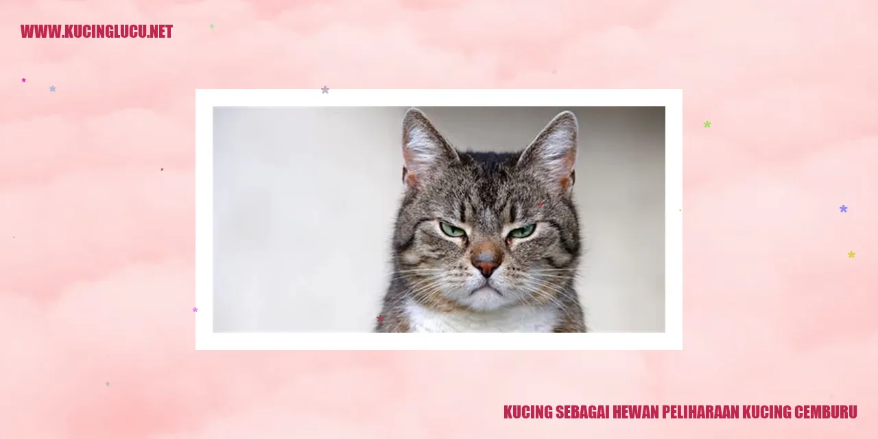 gambar kucing sedang cemburu