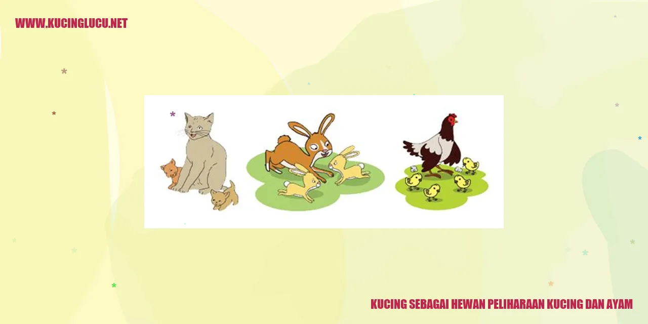 gambar kucing dan ayam