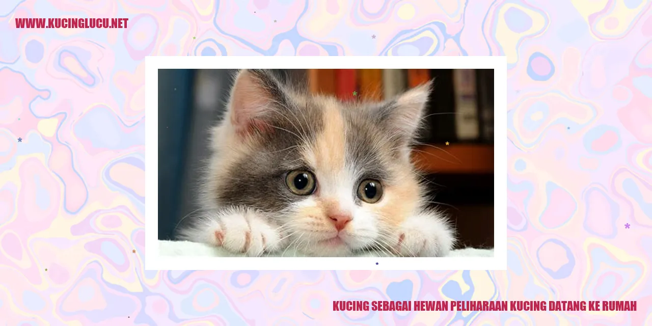 Kucing sebagai Hewan Peliharaan yang Menggemaskan