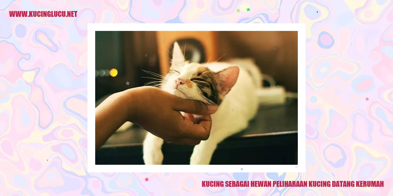 Kucing Menggemaskan