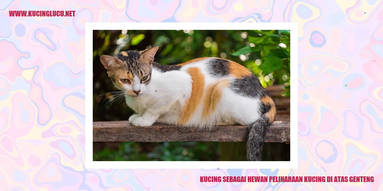 Kucing Menjelajah di Atas Bumbung