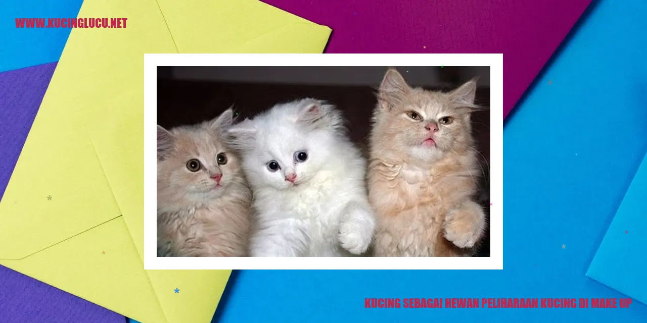 Kucing sebagai Hewan Peliharaan kucing di make up