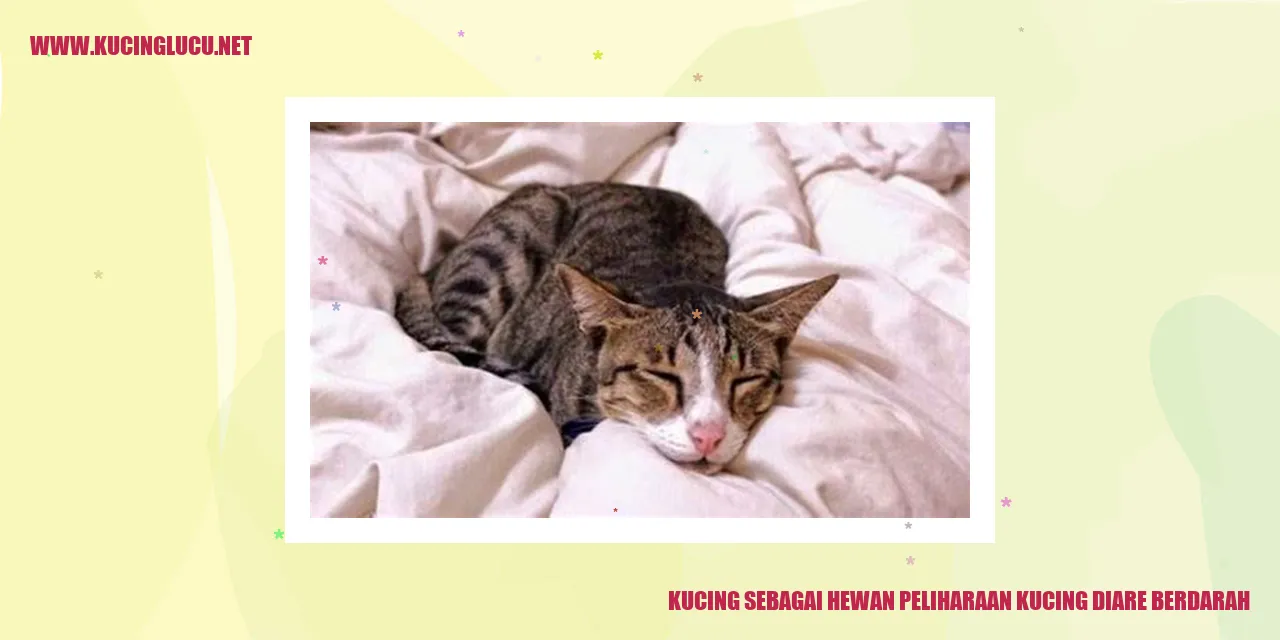 Kucing Diare Berdarah
