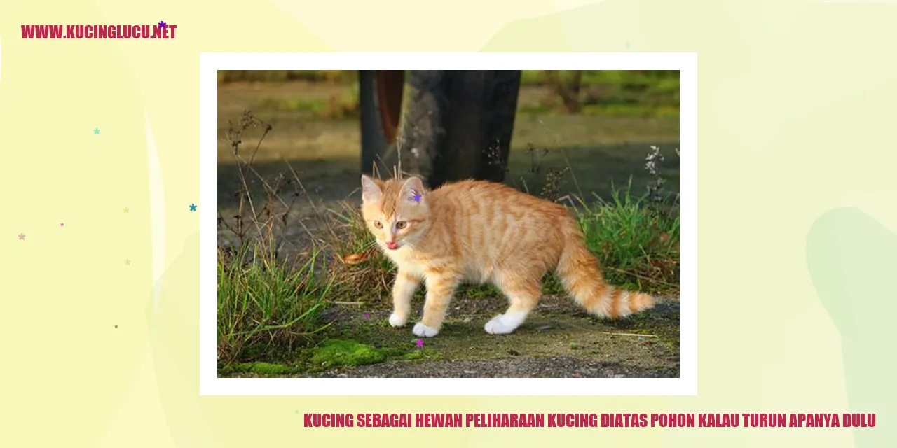 Kucing diatas pohon