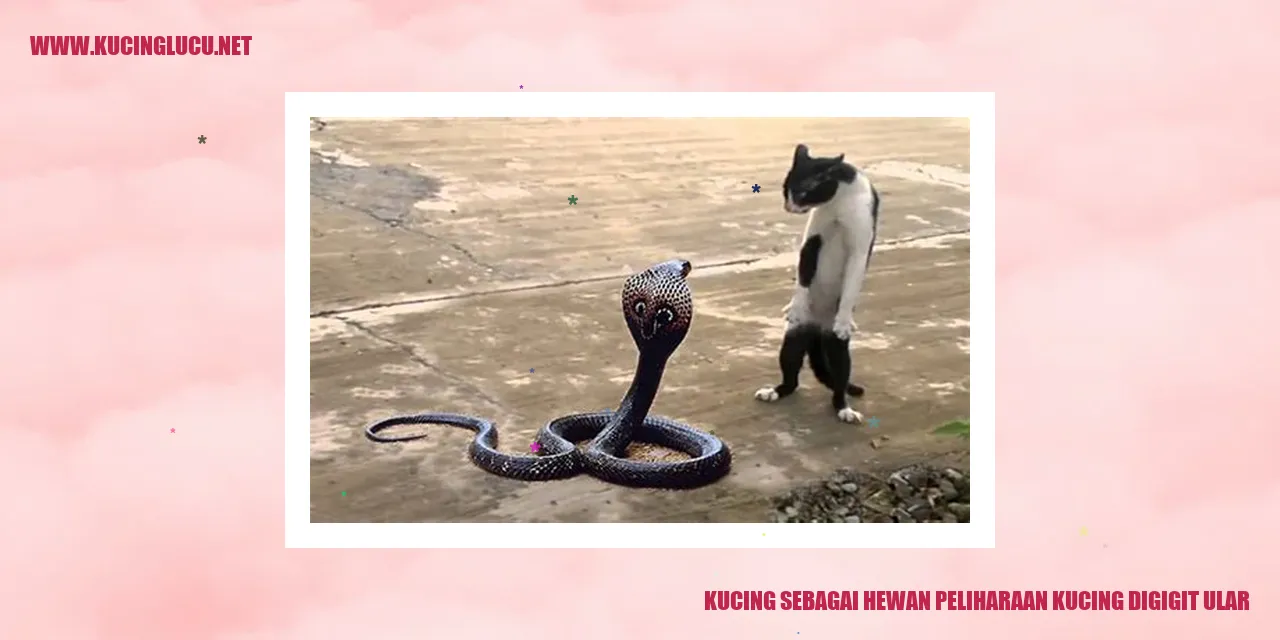 Gambar kucing