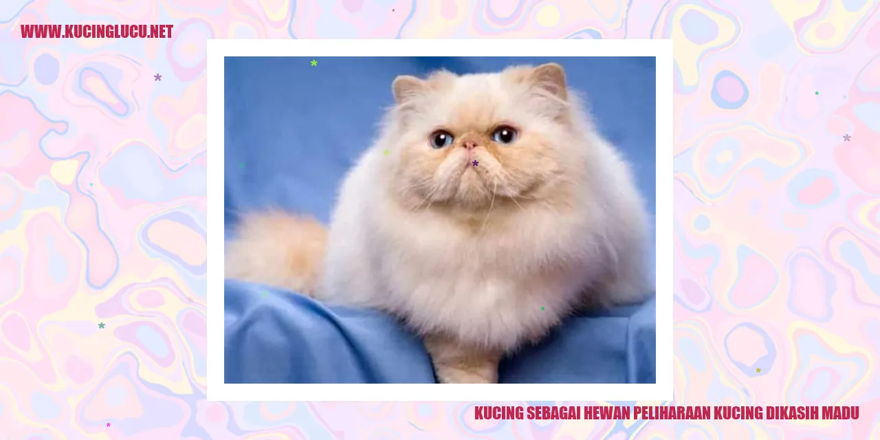 Gambar kucing lucu