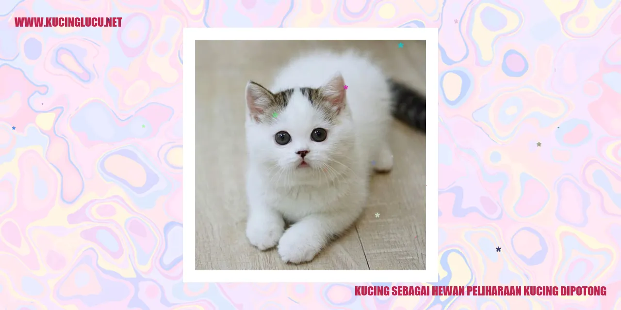 Kucing sebagai Hewan Peliharaan