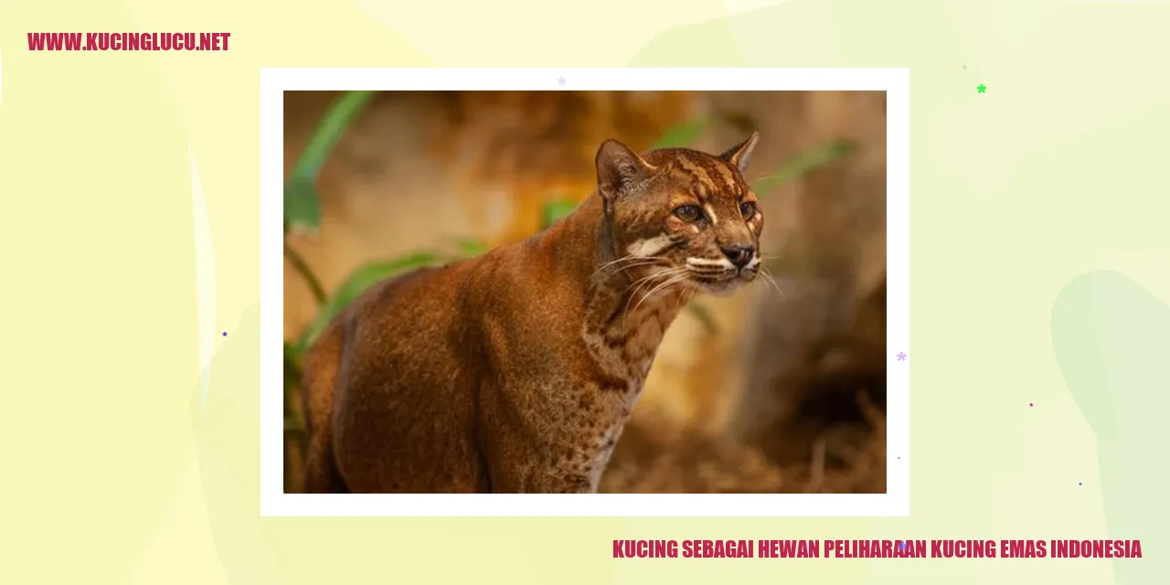 Kucing sebagai Hewan Peliharaan