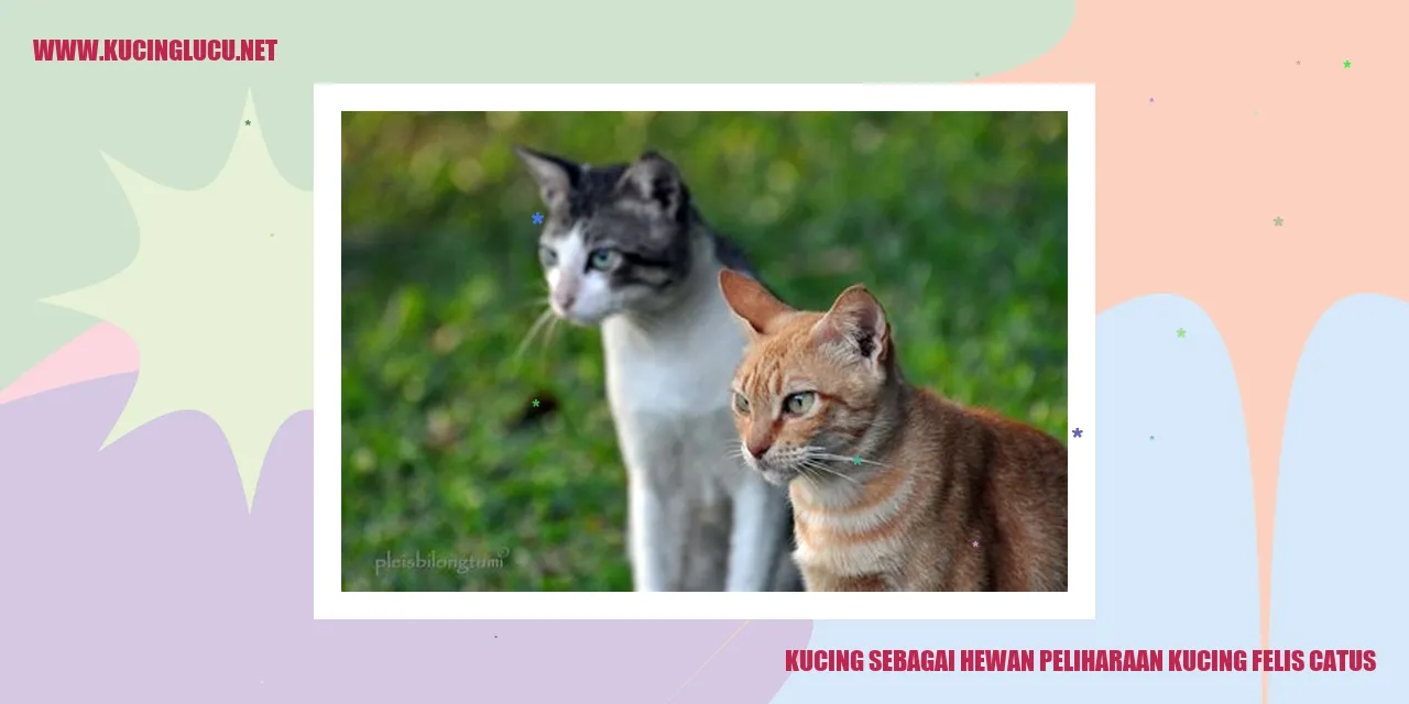 Kucing Tersebagai Hewan Kesayangan