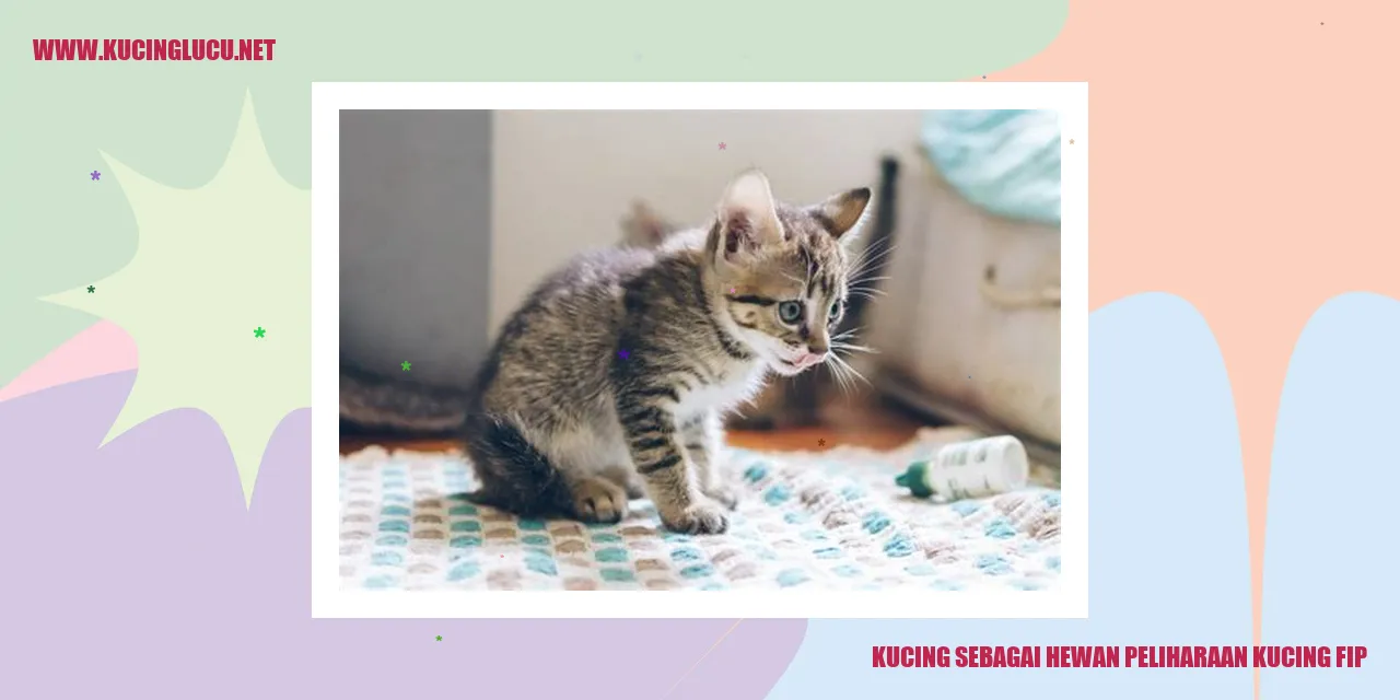 Gambar kucing sebagai hewan peliharaan