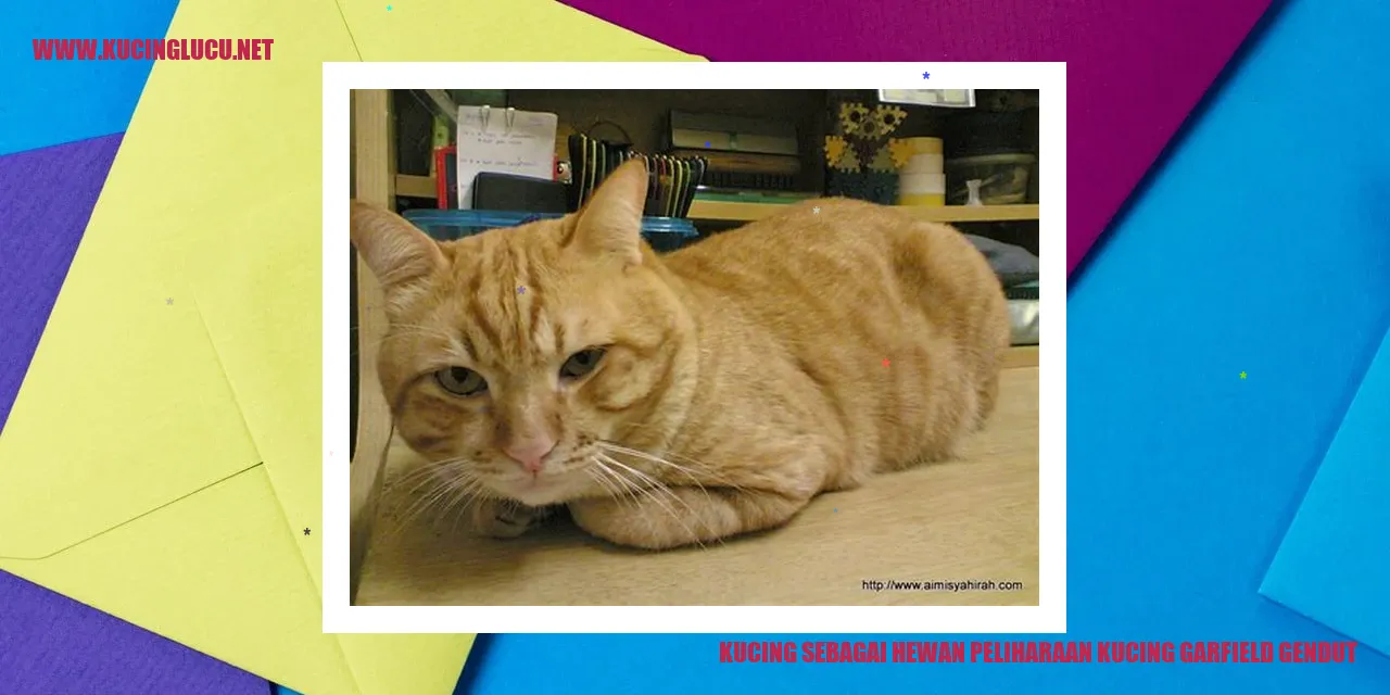 Kucing Garfield Gendut
