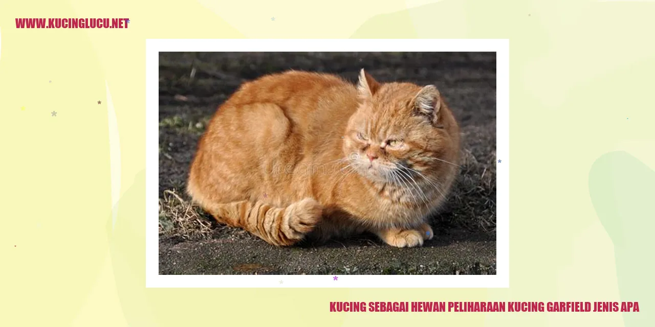 Gambar seekor kucing peliharaan
