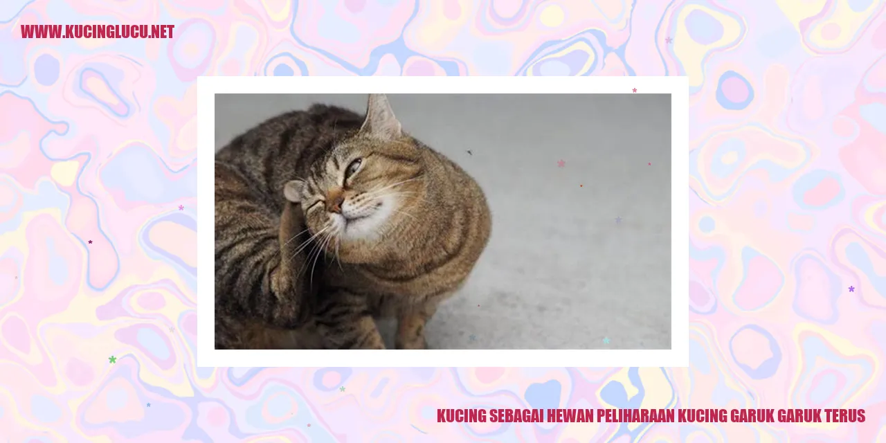 Gambar kucing yang menggemaskan