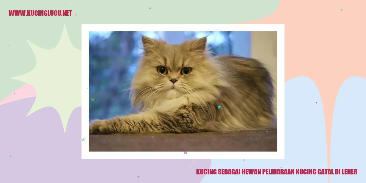 Gambar Kucing Merasa Tidak Nyaman dengan Gatal di Leher