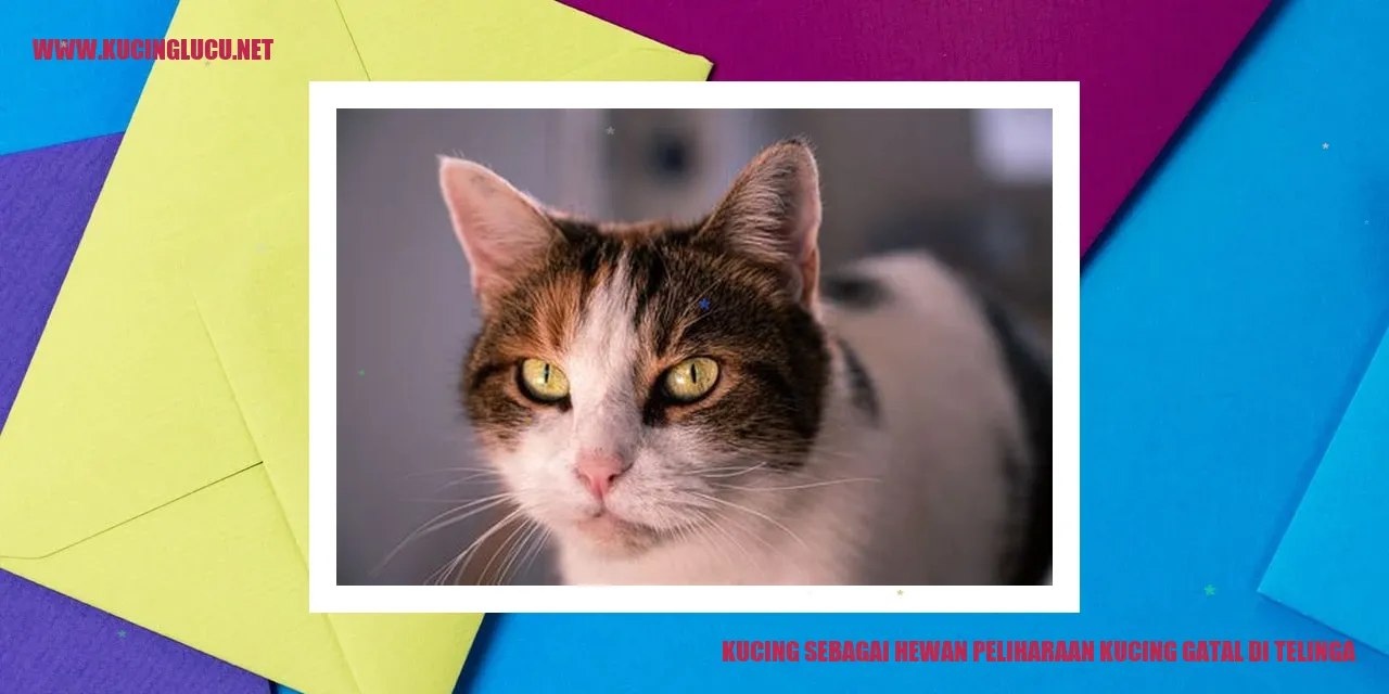 Gambar kucing yang menggambarkan artikel