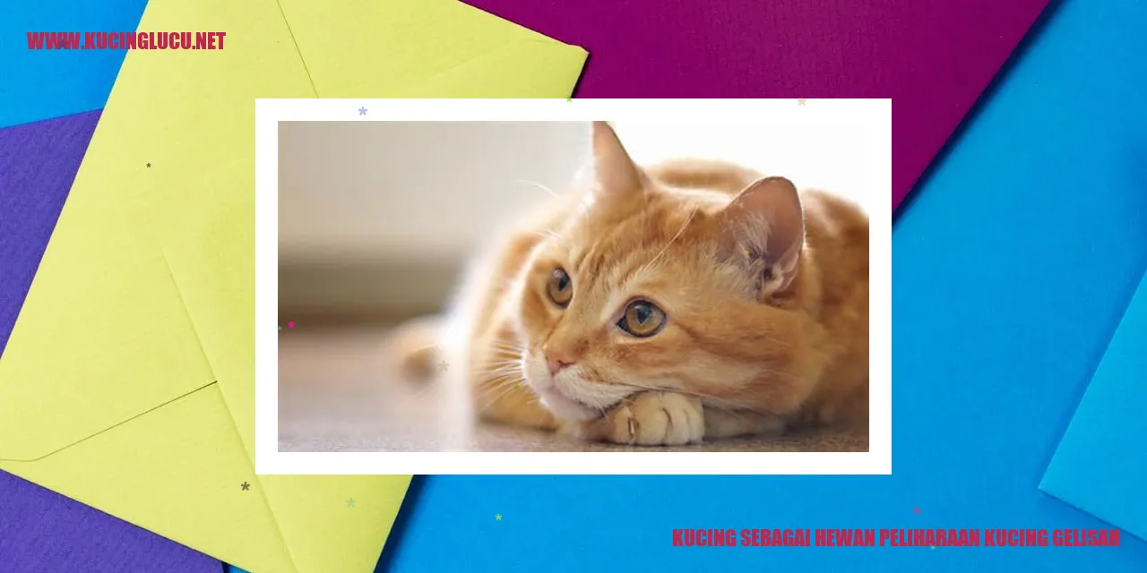 Kucing gelisah