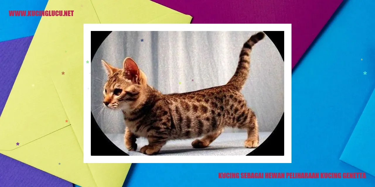Kucing Genetta