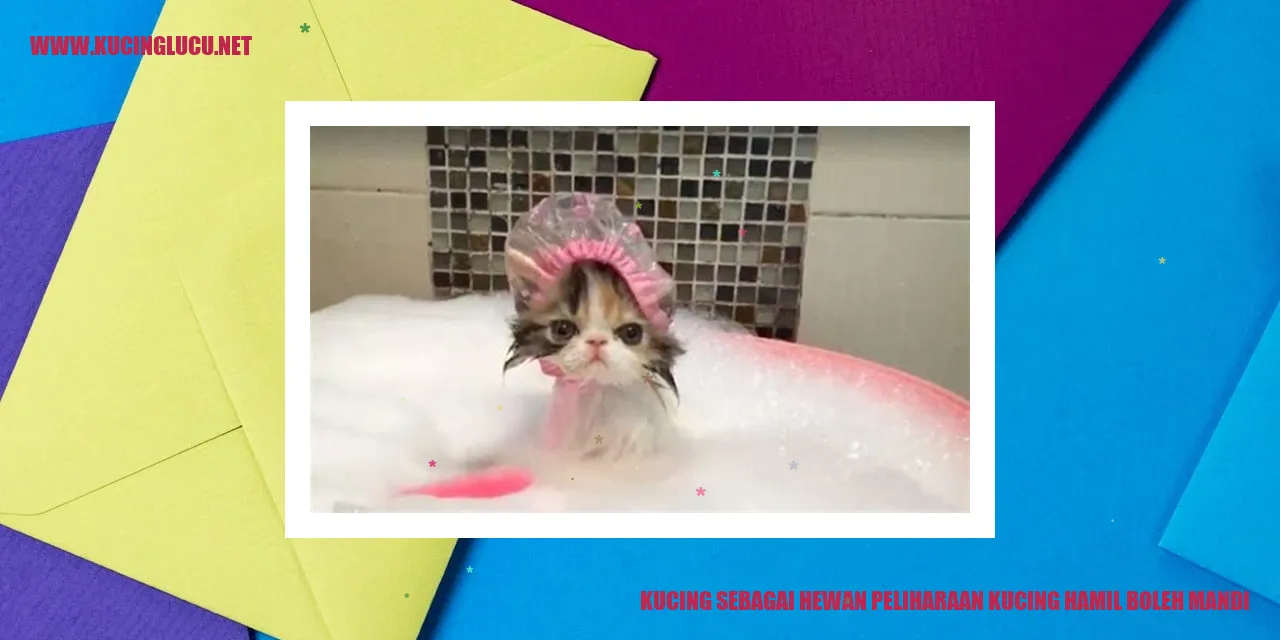 Kucing Hamil