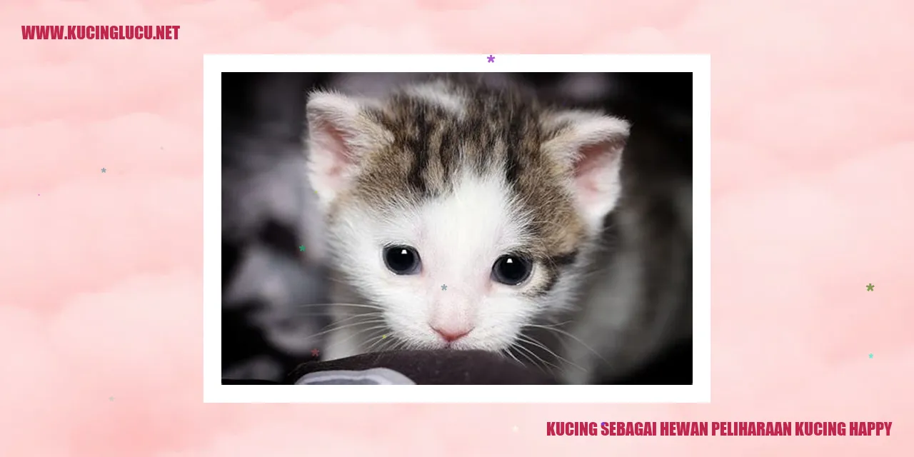 Kucing Penuh Kegembiraan