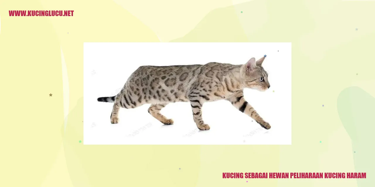 Kucing sebagai Hewan Peliharaan