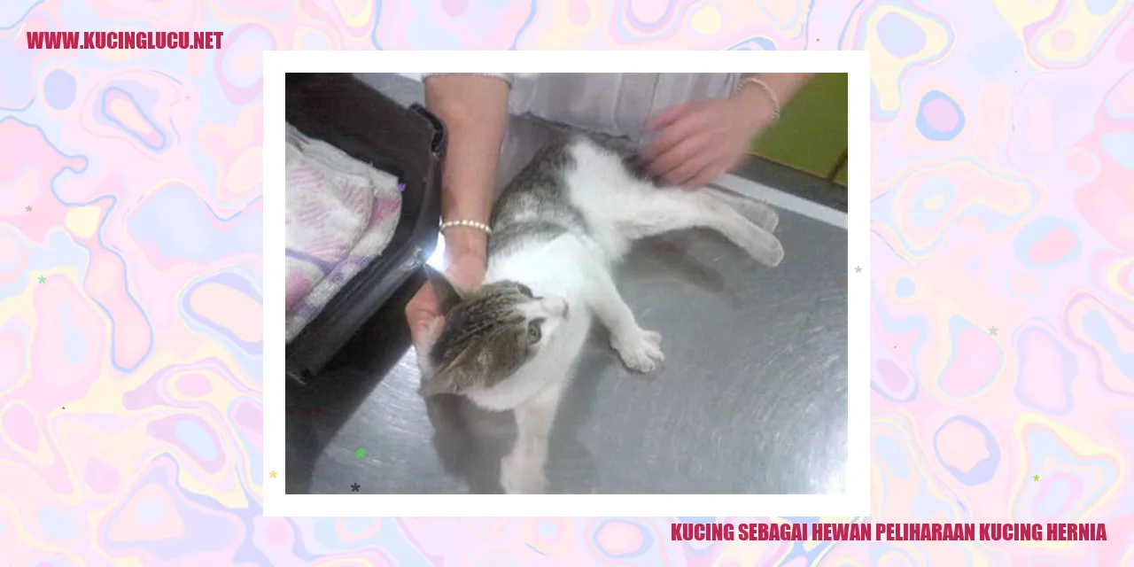 Gambar Kucing sebagai Hewan Peliharaan