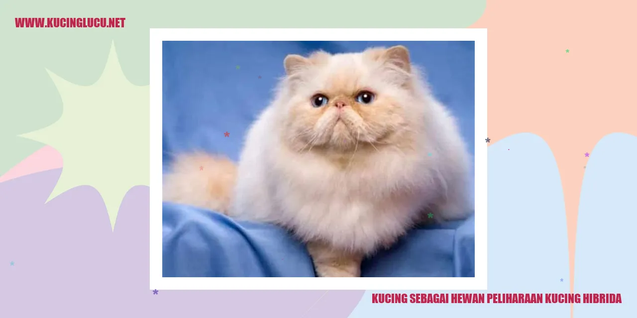 Gambar kucing hibrida yang cantik