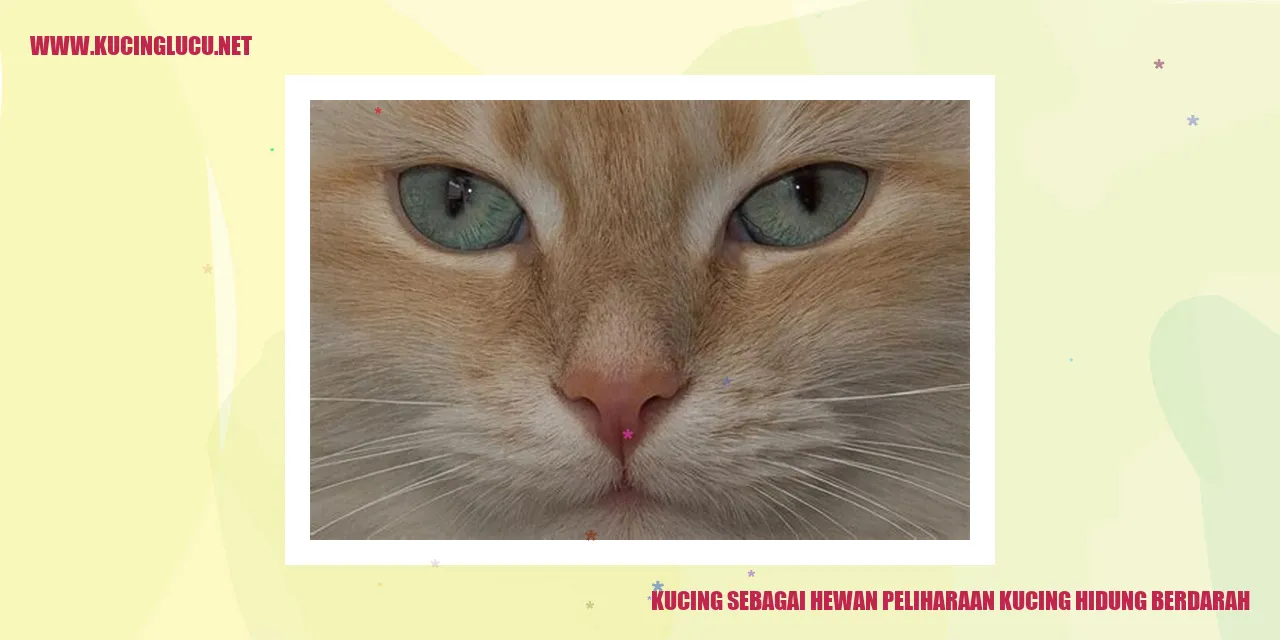 Potret kucing mengalami perdarahan hidung
