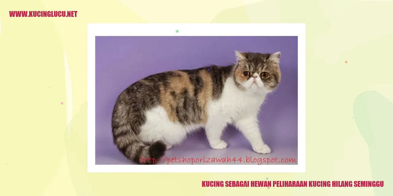 Kucing sebagai Hewan Peliharaan yang Menghilang Selama Seminggu