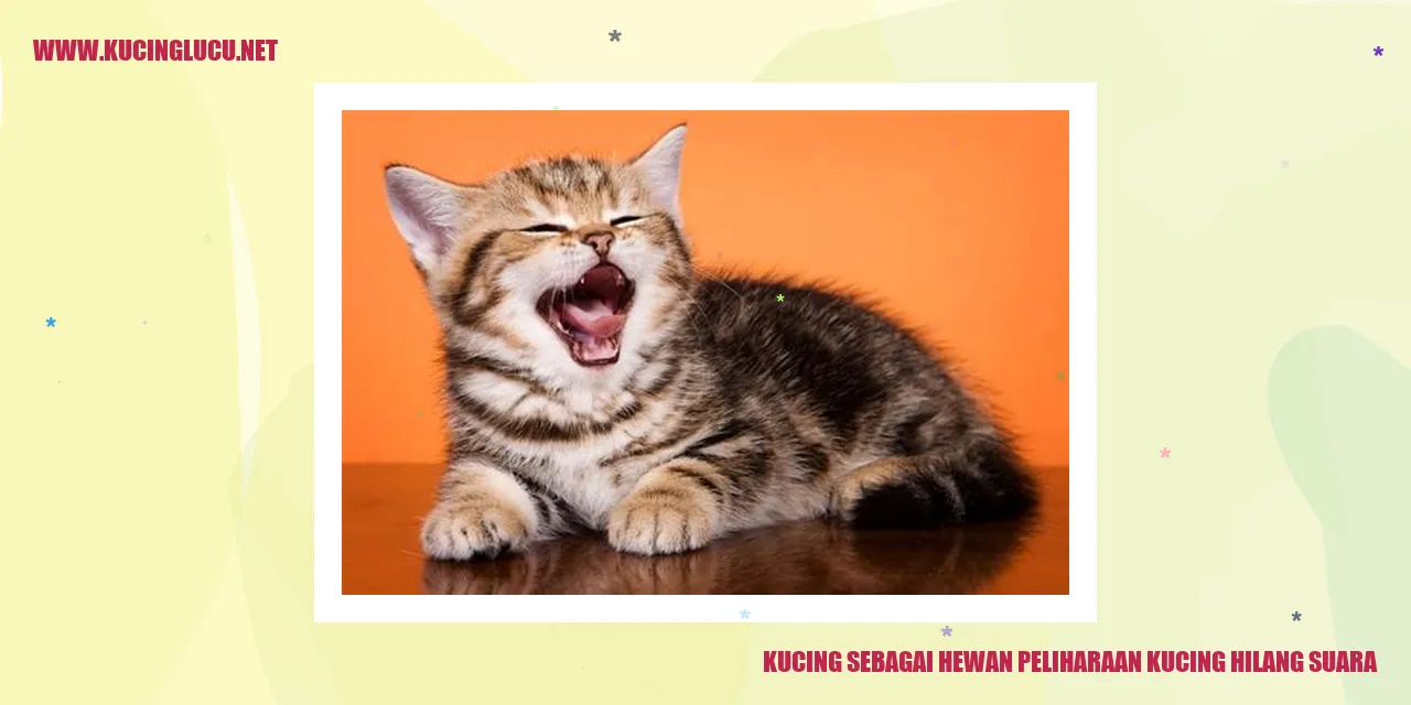 Kucing sebagai Hewan Peliharaan