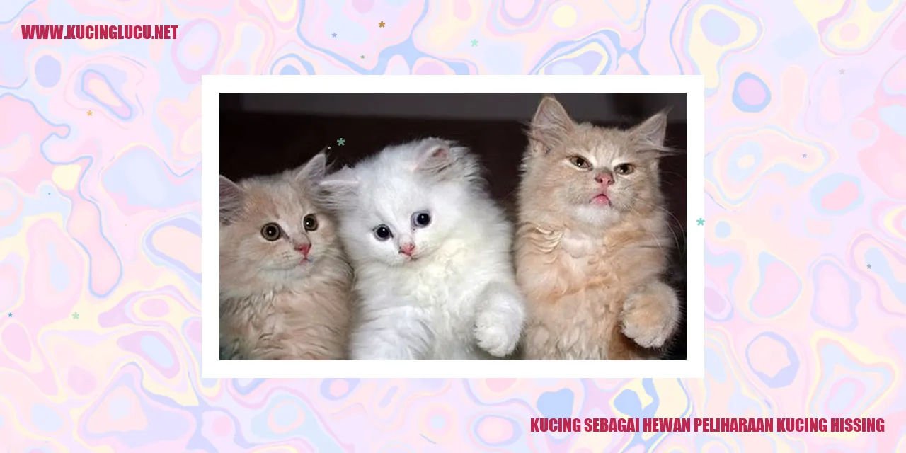 Kucing Mengancam
