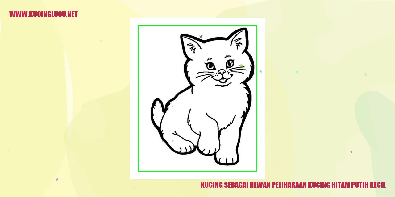 Gambar kucing hitam putih kecil