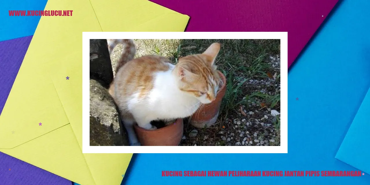 Kucing sebagai Hewan Peliharaan