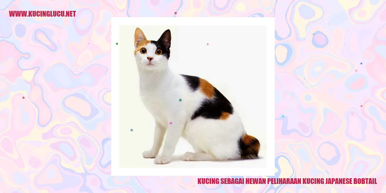 Kucing Japanese Bobtail