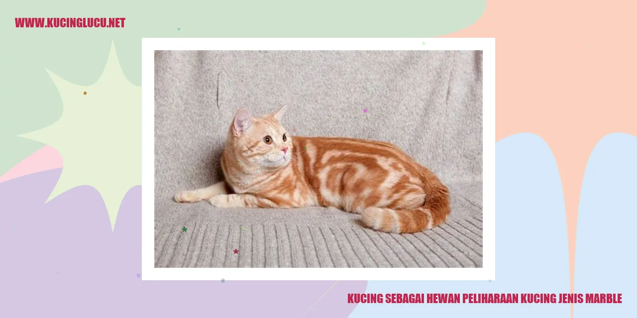 Kucing jenis Marble