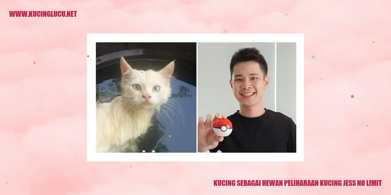 Kucing sebagai Hewan Peliharaan kucing jess no limit