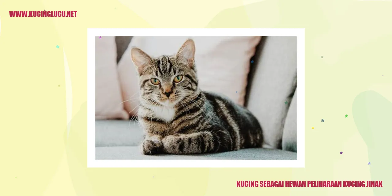 Kucing sebagai Hewan Peliharaan