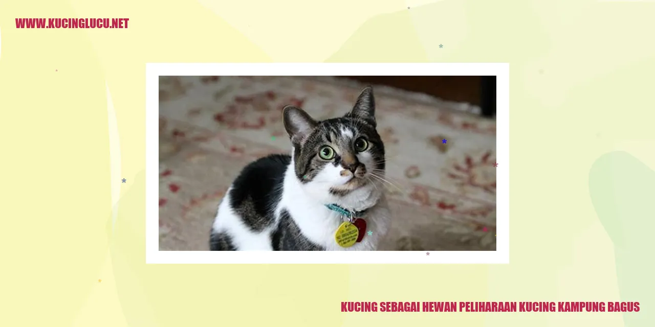 Gambar kucing