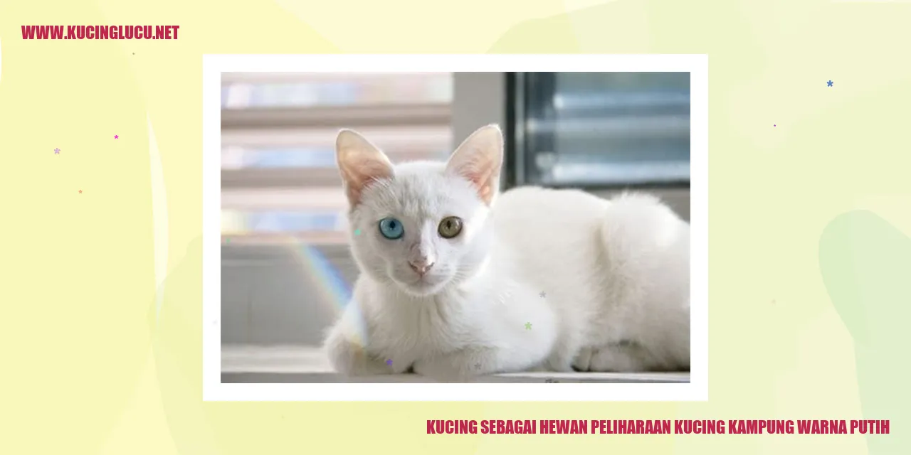 Kucing Putih yang Menggemaskan