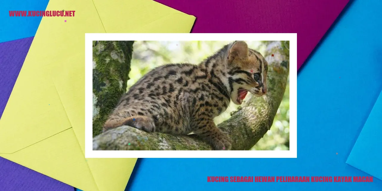 Kucing sebagai Hewan Peliharaan kucing kayak macan