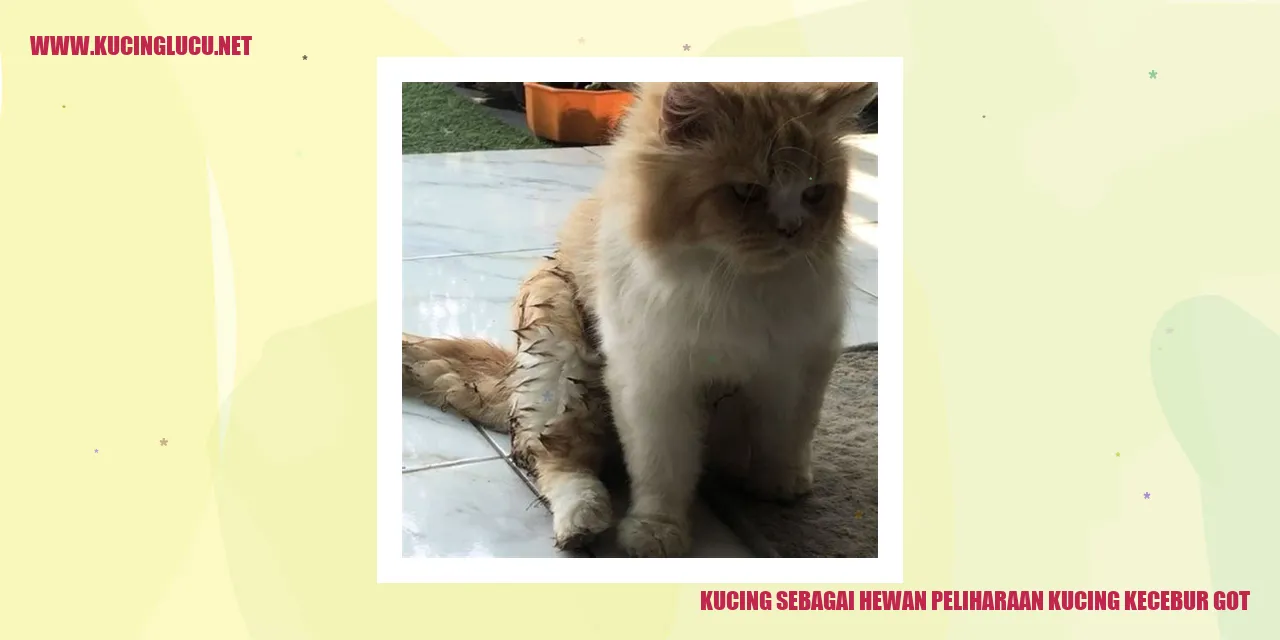 Kucing sebagai Hewan Peliharaan