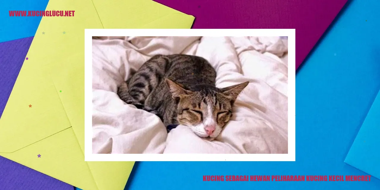 Kucing kecil