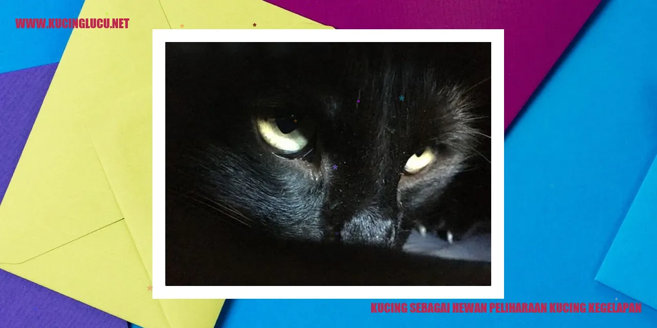 Manisnya Kucing Hitam!