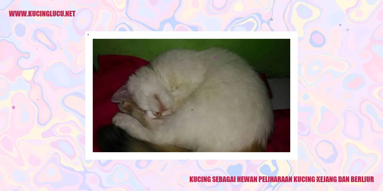 kucing lucu