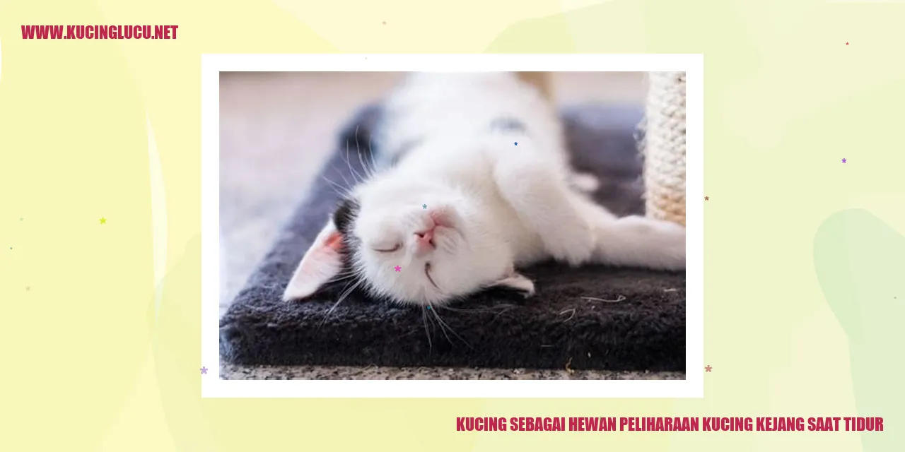 Gambar Kucing sedang tidur