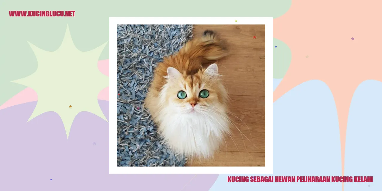 gambar kucing bertengkar